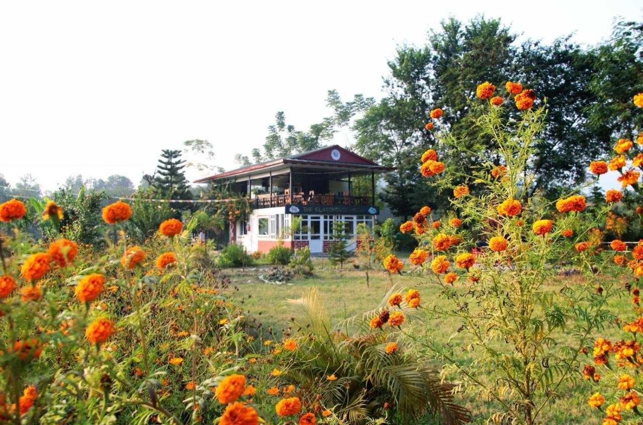The Glasshouse Hotel Kawasoti Eksteriør billede